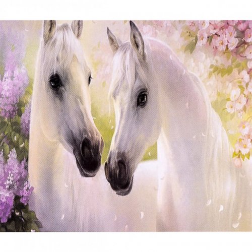Алмазная Живопись 30*40 GM70956